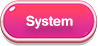 System